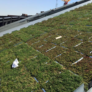 système pour toiture végétalisée pour toit-terrasse / pour toiture inclinée