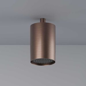 pommeau de douche de plafond 1