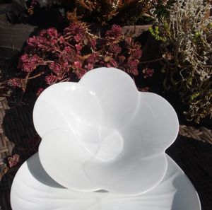 saladier en porcelaine de Limoges