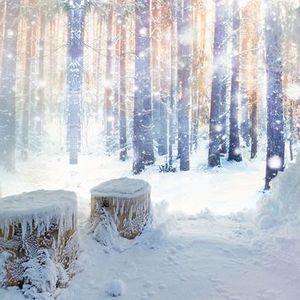 cabine de neige pour sauna
