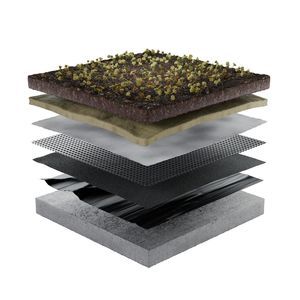 système pour toiture végétalisée pour toiture plate