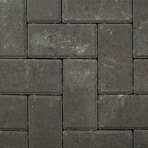 pavé en béton 1