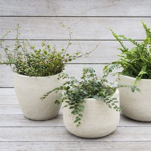 pot de jardin en terracotta 1