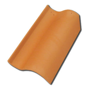 tuile d'égout