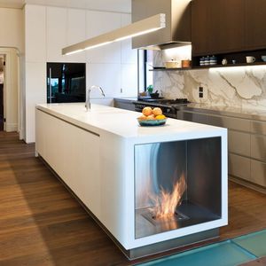 cheminée au bioéthanol / contemporaine / à foyer fermé / à encastrer