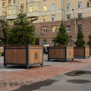 jardinière en pin