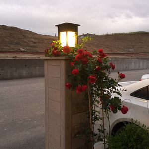 borne d'éclairage de jardin