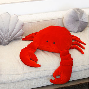 coussin pour canapé 1