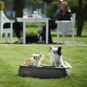 coussin pour animaux domestiques (chien et chat)