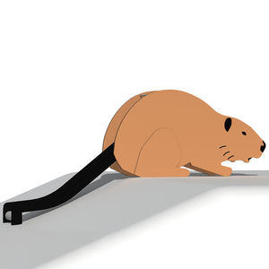 toboggan droit