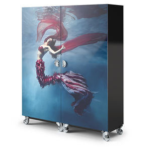 armoire de style / bois / en verre / à porte battante