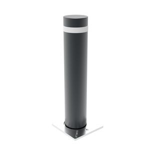 borne semi-automatique 1