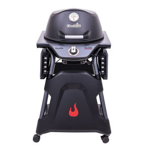 barbecue électrique 1