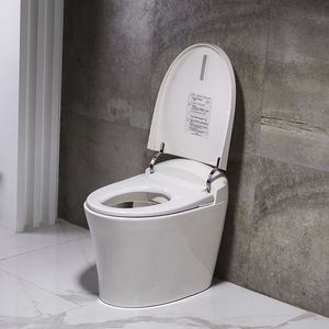 WC intelligent