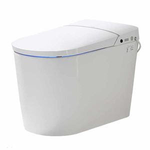 toilette intelligente