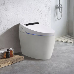 toilette intelligente