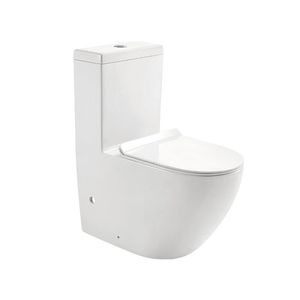 toilette intelligente