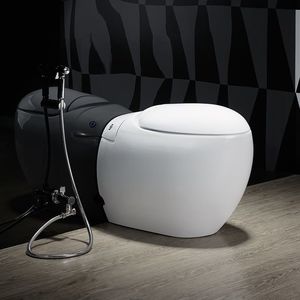 toilette intelligente
