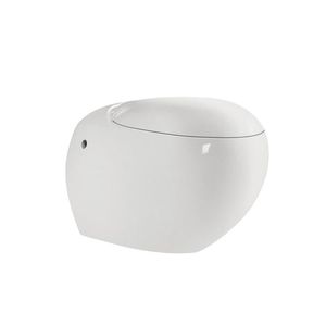 toilette intelligente