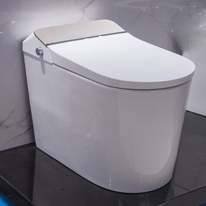 toilette intelligente
