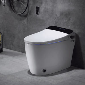 toilette intelligente