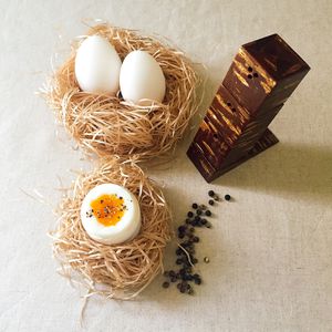 salière et poivrière en polyéthylène