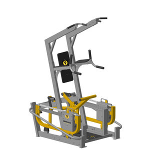 appareil de musculation dips