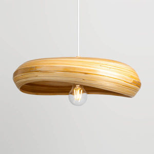 suspension 1