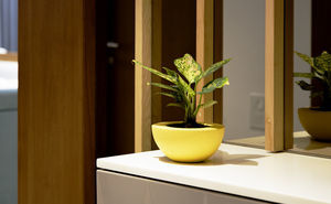 pot de jardin en fibre de verre
