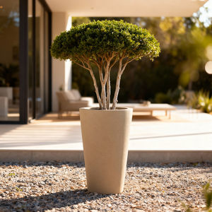 carré potager en PRV