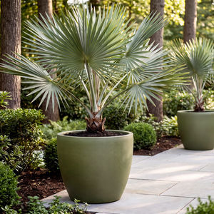 jardinière en fibre de verre