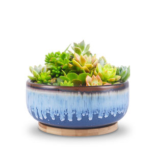 pot de fleur en céramique émaillée