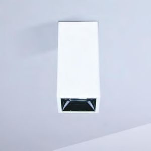 downlight en saillie