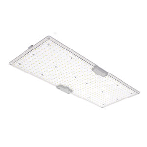 projecteur IP65