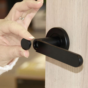 poignée de porte