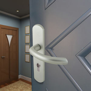 poignée pour porte 1