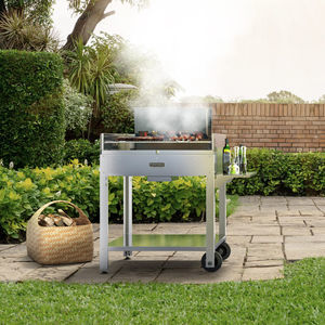 barbecue à bois