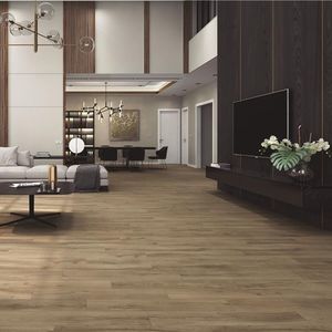 carrelage en porcelaine 1