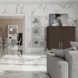 carrelage en porcelaine 1