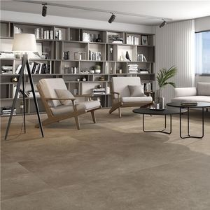 carrelage en porcelaine 1