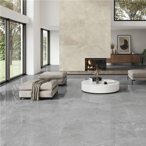 carrelage en porcelaine 1