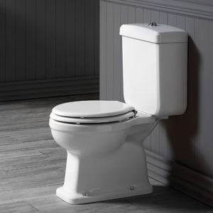 toilettes à poser