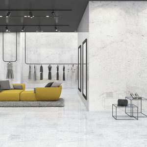 carrelage d'intérieur / d'extérieur / mural / de sol