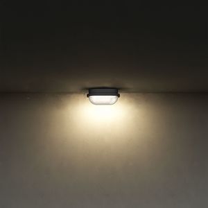 luminaire apparent