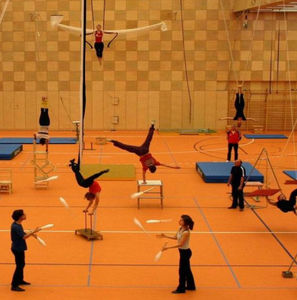 sol sportif en linoléum