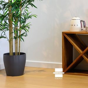 parquet contrecollé
