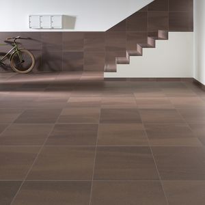 carrelage d'intérieur / d'extérieur / mural / de sol