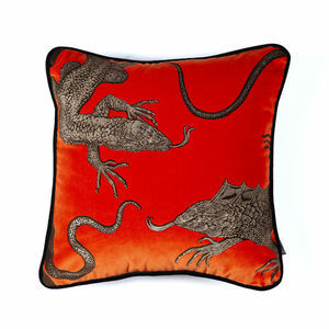 coussin pour intérieur