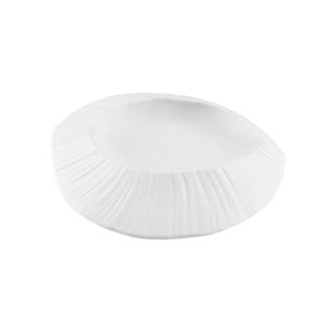 assiette en porcelaine 1