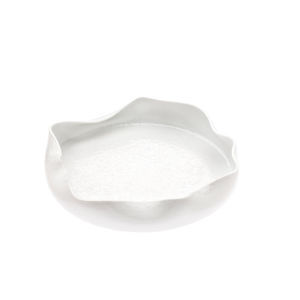 bol en porcelaine 1